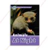 1563022490 Oxford Read And Discover Level 4 Animals At Night copy