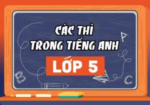 học tiếng anh lớp 5